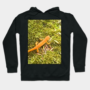 Red Spotted Newt Hoodie